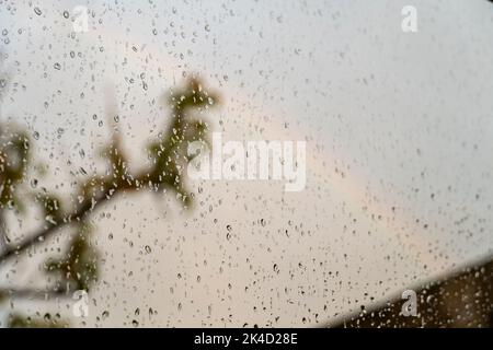 rainbow through a window, drops on the window pane, tree branch behind, mexico Stock Photo
