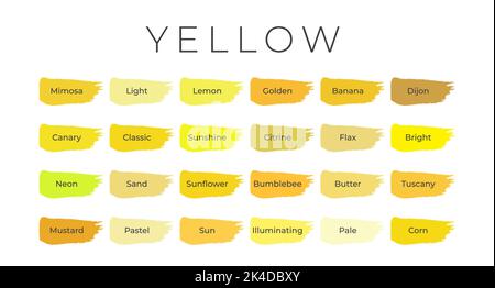 Yellow Paint Color Swatches with Shade Names on Brush Strokes Stock Vector