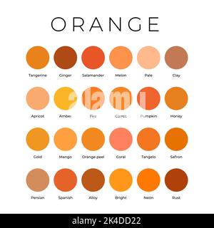 Bright orange tangerine colour Stock Vector Images - Alamy