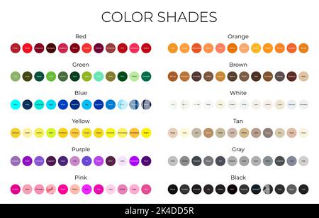 Color Shades Palette with Red, Orange, Green, Brown, Blue, White, Yellow, Tan, Purple, Gray, Pink and Black Color Shades Isolated on White Background Stock Vector