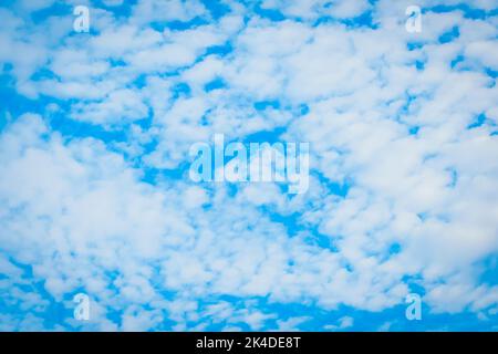 Cirrocumulus white little cotton cloud against blue sky nature background. Stock Photo