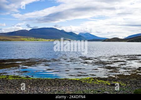 Seaweed floating in calm water by a pebble beach at the edge of the Kyle of Durness. Beinn Spionnaidh, Cranstackie  Foinaven rising on the horizon. Stock Photo