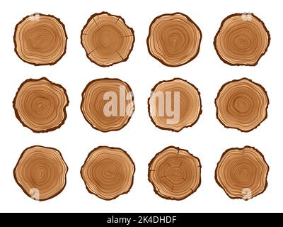 Tree trunks, wood cut stumps with annual circles, log cut sections with rings, vector wooden slices. Tree trunks cross sections with with annual growth rings pattern, forest timber stump cuts Stock Vector