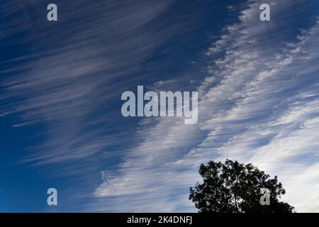 Weird clouds in a late afternoon summer sky look like combed wool Stock Photo