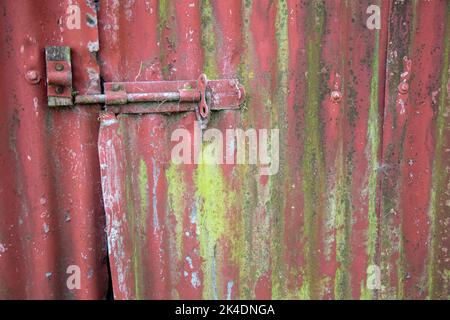 Close up shot of a red-painted corrugated-metal barn door with copious green algae on the surface. Stock Photo