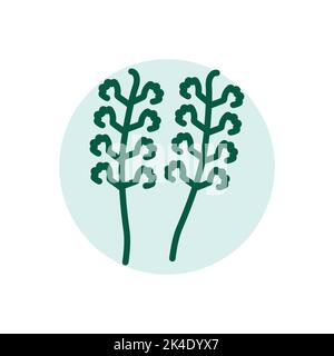 Tuberose olor line icon. Pictogram for web page Stock Vector