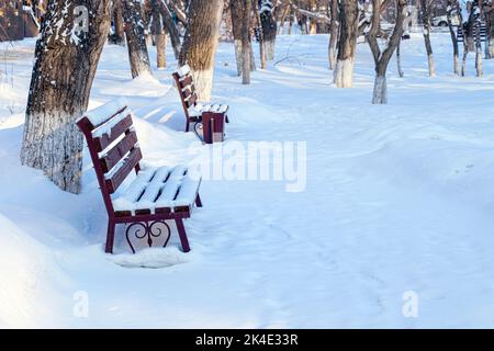 empty park in winter. empty benches covered with white snow among trees without leaves. soft focus Stock Photo