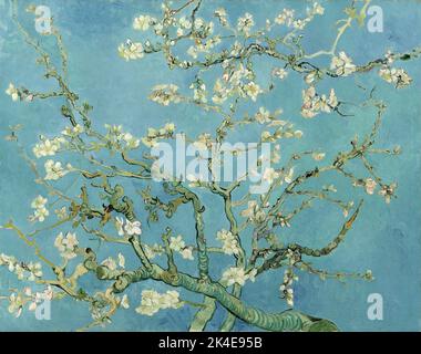 Almond blossom, Vincent Van Gogh  Date1890 Stock Photo