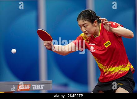 CHENGDU, CHINA - OCTOBER 2, 2022 - Chen Meng of China competes against Puerto Rico during the Men's Group match between Portugal and Brazil of 2022 IT Stock Photo