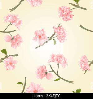 Seamless texture blossoms sakura  natural background vector illustration Stock Vector