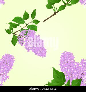 Seamless texture Lilac twig with flowers and leaves natural background vector illustration Stock Vector