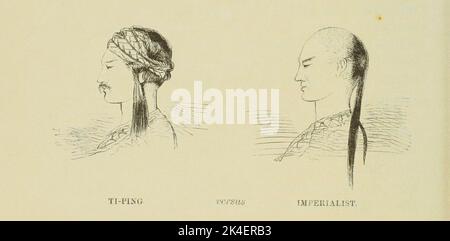 hair-style-illustraion-ti-ping