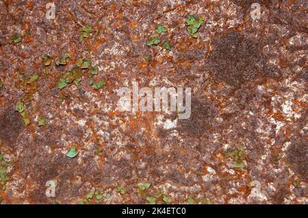 abstract grunge background: peeling paint on rusty iron Stock Photo