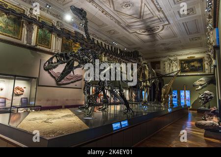 VIENNA, AUSTRIA - SEPTEMBER 13, 2022: Dinosaur skeletons displayed The Museum of Natural History, Vienna. Stock Photo