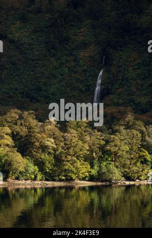 Sunlight illuminates the shoreline beech trees with the background cliffside and waterfall cast in shadow. Stock Photo