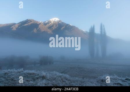 A bank of fog rolls through a farming meadow near Moke Lake as sunlight illuminates the background peaks. Stock Photo