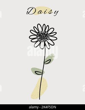 Daisy flower botanical minimal art element, poster, or wall art illustration with organic shape. Stock Vector