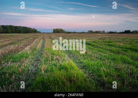 A beautiful evening view of a mowed agricultural field, Nowiny, Poland Stock Photo