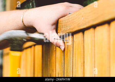 Man hammer nail into plank repairing wooden wall. Blurred motion composition. Stock Photo