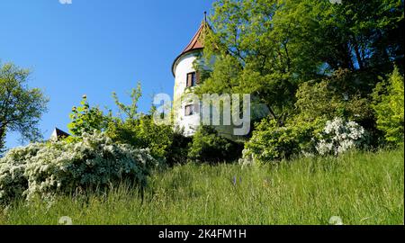 the scenic Bavarian town Neuburg an der Donau (or Neuburg the Danube) on a sunny day in May (Bavaria, Germany) Stock Photo