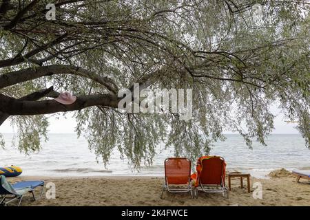 Tree and sunbeds on a cosy beach in Thassos, Greece, during a cloudy summer day. Stock Photo