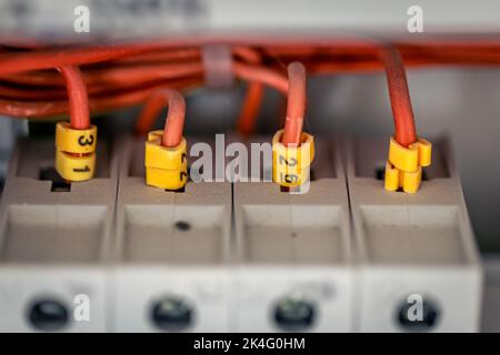 Electrical panel with fuses and contactors, close-up. Stock Photo