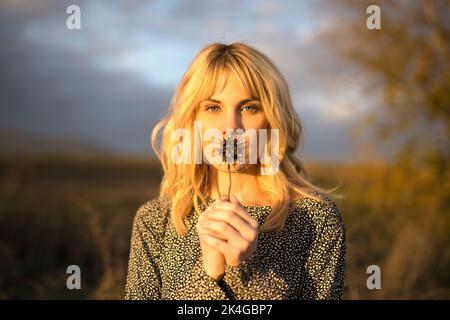 Graceful young calm female model with long blond hair in blouse with dry spiky plant in hand looking at camera in grassy meadow against cloudy sunset Stock Photo