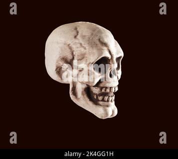 Real skull, human head bone, dead face on black background. High quality photo Stock Photo