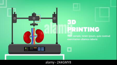 kidneys model prints on 3d bio printer medical printing of human transplantation organ biological engineering bioprinting Stock Vector