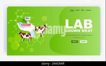 scientist hand holding cultured red raw veal made from animal cells artificial lab grown meat production concept Stock Vector