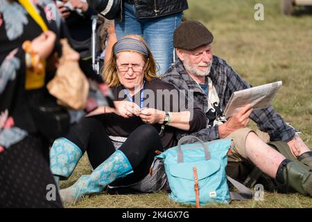 Green Man Festival 2019 – a popular music festival in Wales, UK. Photo credit: Rob Watkins Stock Photo