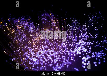 Lit purple and white fibre optic strands. Stock Photo