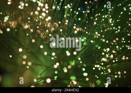 Fibre optic strands. Stock Photo