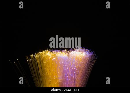 Lit bundle of yellow and pink mauve fibre optic strands. Stock Photo