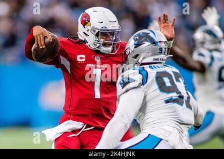 Carolina Panthers defensive end Yetur Gross-Matos (97) on defense during an  NFL preseason football game against the Buffalo Bills, Saturday, Aug. 26,  2022, in Charlotte, N.C. (AP Photo/Brian Westerholt Stock Photo - Alamy