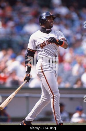 Barry Bonds of the San Francisco Giants is shown in game action against the Chicago Cubs at Wrigley Field, ca. 1998. Stock Photo