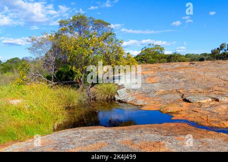 Petrudor Rocks and water hole and Granite Stone landscape, Dalwallinu shire, Western Australia Stock Photo