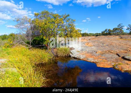 Petrudor Rocks and water hole and Granite Stone landscape, Dalwallinu shire, Western Australia Stock Photo