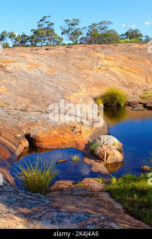 Petrudor Rocks and water hole and Granite Stone landscape, Dalwallinu shire, Western Australia Stock Photo