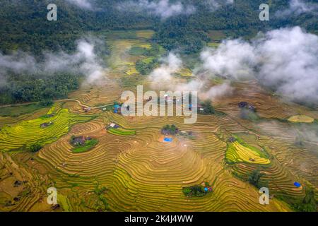 Admire the beautiful terraced fields in Y Ty commune, Bat Xat district, Lao Cai province northwest Vietnam on the day of ripe rice harvest. Rural land Stock Photo