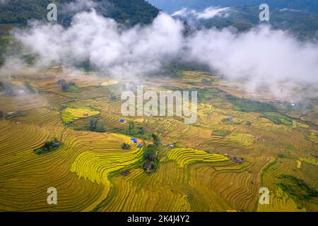 Admire the beautiful terraced fields in Y Ty commune, Bat Xat district, Lao Cai province northwest Vietnam on the day of ripe rice harvest. Rural land Stock Photo