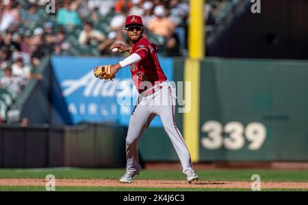 Arizona Diamondbacks' Sergio Alcantara (43) fields a grand out hit by St.  Louis Cardinals Tyler O'Neill during the fourth inning of a baseball game,  Friday, Aug. 19, 2022, in Phoenix. (AP Photo/Matt