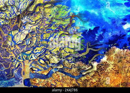 Collage river delta with interweaving and layering of several layers in the shape of a tree crown. Satellite view. Elements of this image furnished by Stock Photo