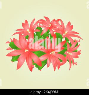 Easter cactus with flowers tropical succulent vector illustration Stock Vector