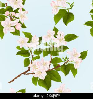 Seamless texture apple tree branch  with flowers and buds spring background vector illustration Stock Vector