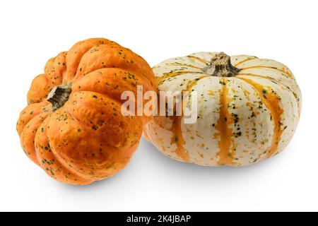 Two carnival squash pumpkins isolated on white background Stock Photo