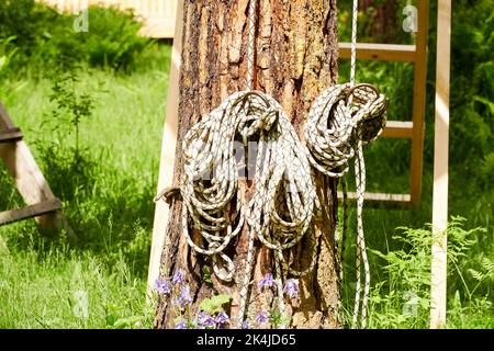 Climbing ropes and equip on the tree prepared for mountaineering. Sports and activity equipment Stock Photo