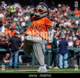 San Francisco, CA: San Francisco Giants' mascot Lou Seal cheers for the  home team. The Padres won the game 3-2. (Credit Image: © Charles  Herskowitz/Southcreek Global/ZUMApress.com Stock Photo - Alamy