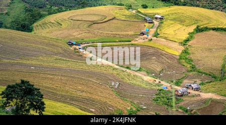 Admire the beautiful terraced fields in Y Ty commune, Bat Xat district, Lao Cai province northwest Vietnam on the day of ripe rice harvest. Rural land Stock Photo