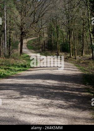 Woodland trail in 100 acre wood, Forest of Bere, Wickham, Fareham, Hants. Stock Photo